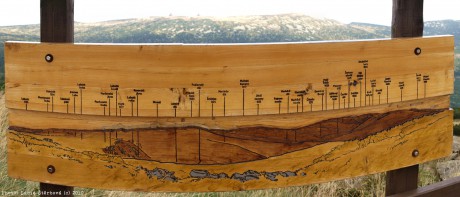 G. Dřevěné panorama